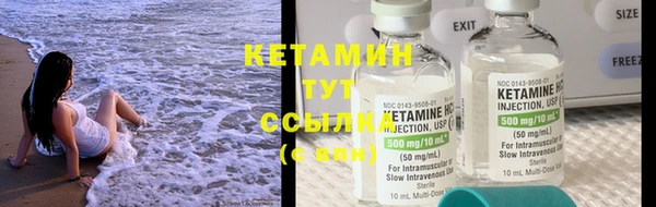дмт Вяземский