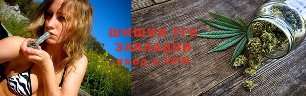 дмт Вяземский