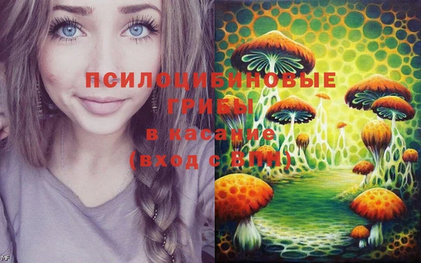 спиды Вязники